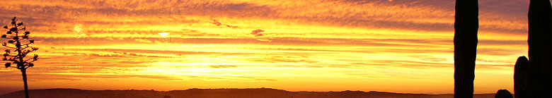 Gold Sunset at Playa del Socorro