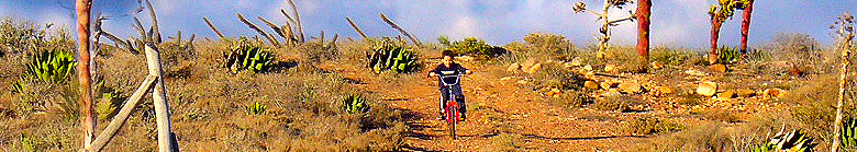 Off-Roading at Playa del Socorro