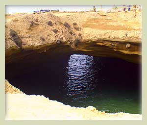 Seals at la Lobera